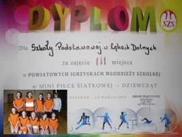 siatkarskie-sukcesy.jpg