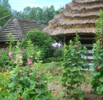 skansen-i-plaza-zdjecia.jpg skansen-i-plaza-zdjecia.jpg