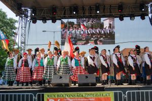 sokolanie-promowali-pilzno-na-wegrzech.jpg