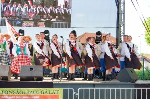 sokolanie-promowali-pilzno-na-wegrzech.jpg