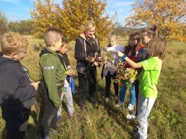 sukces-we-florku.jpg sukces-we-florku.jpg