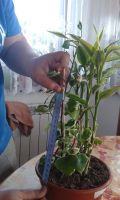 sukces-we-florku.jpg sukces-we-florku.jpg