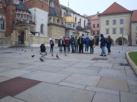 w-krakowie-i-w-wieliczce.jpg