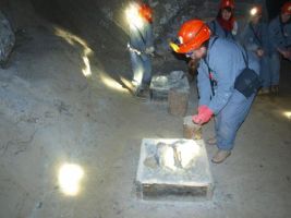 w-krakowie-i-w-wieliczce.jpg