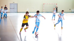 IMG_6229.jpg