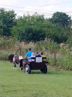 IMG_20210710_172216.jpg