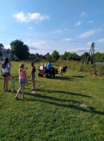 IMG_20210710_175025.jpg