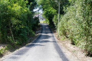 _DSC7127.jpg _DSC7127.jpg