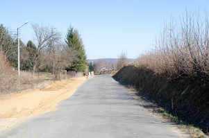 _DSC2924.jpg _DSC2924.jpg