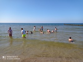 IMG_20220604_164435.jpg
