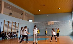 20230310_094301.jpg